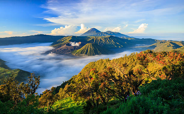 Kebun Raya Bogor